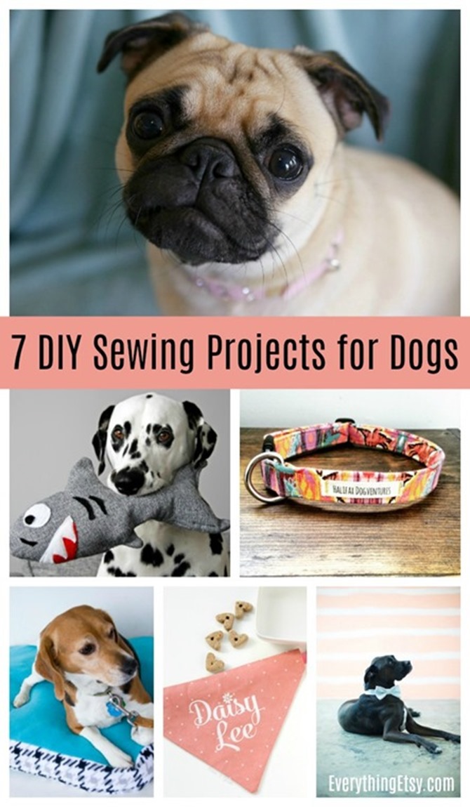 7-DIY-Sewing-Projects-for-Dogs-EverythingEtsy.com_