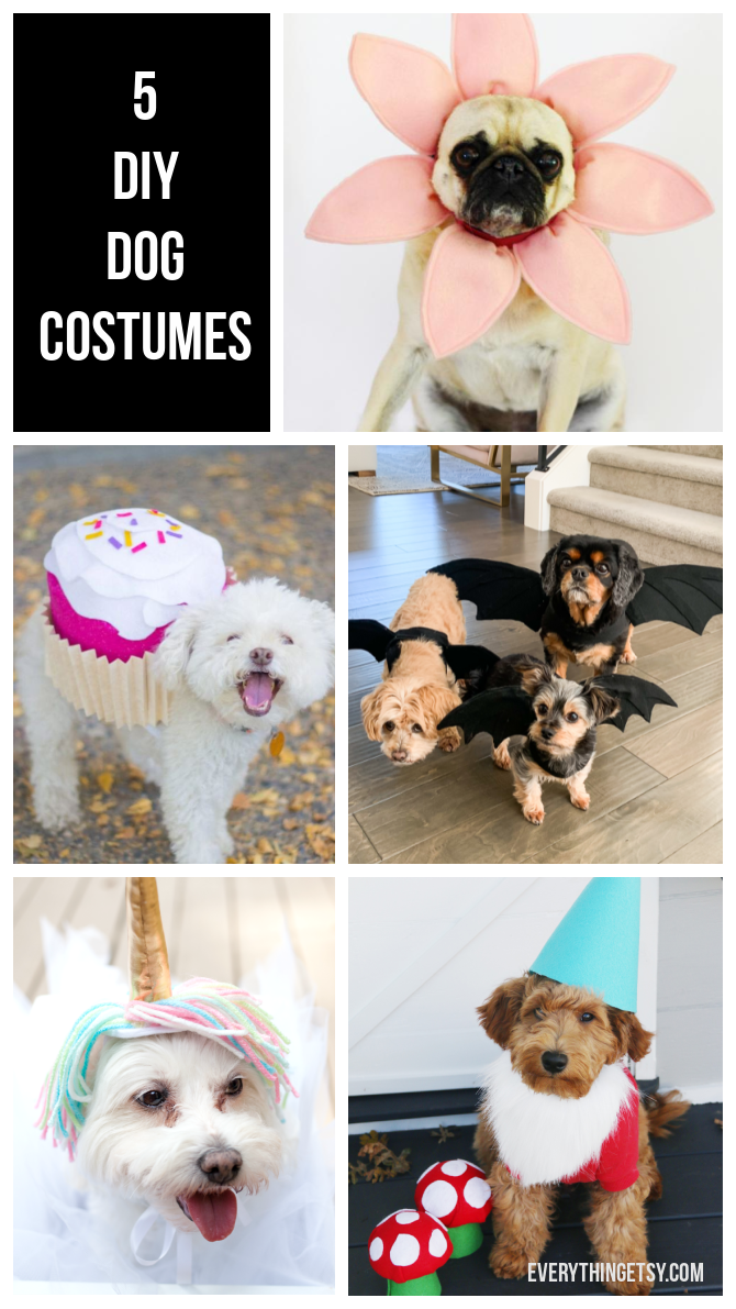 5 DIY Dog Costumes - Quick and Easy Ideas - Everything Etsy